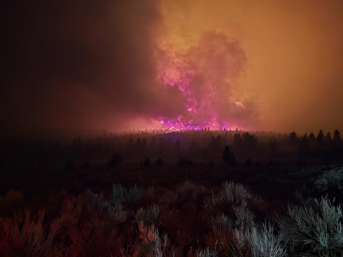#ForsythFire Update:
June 20, 2025 Daily Update 
Containment: 0% 
Personnel: 150 
Current Total Acreage: 1,500 
Crews: 4
Engines: 16 
Helicopters: 3 
Fixed-wing aircraft have been ordered. 
Red Flag warnings are in effect through Saturday.