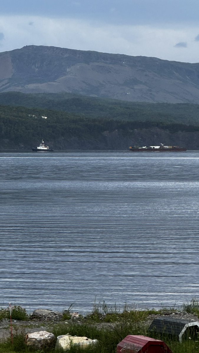 Gary Kelly tweet media