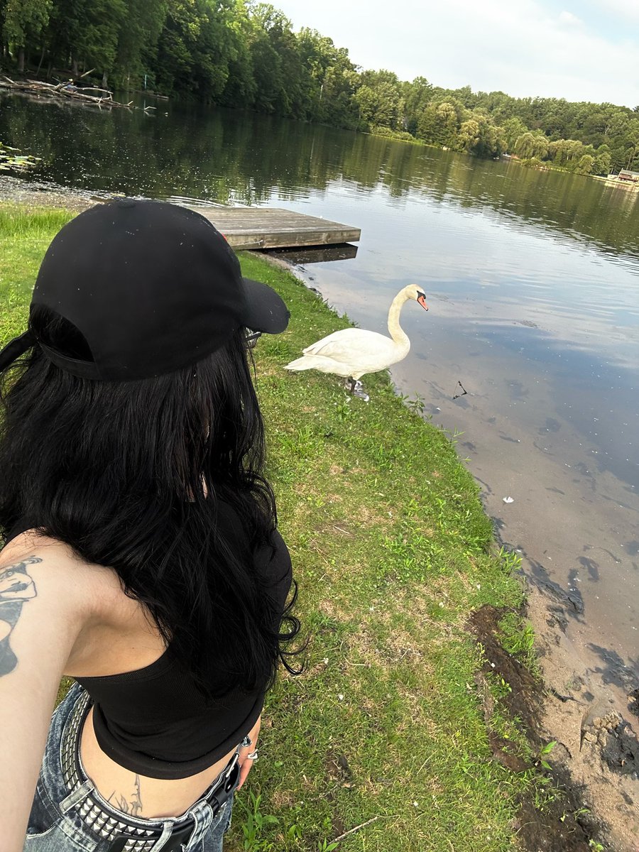 doesgodcry's tweet image. y’all don’t fw swans like i do