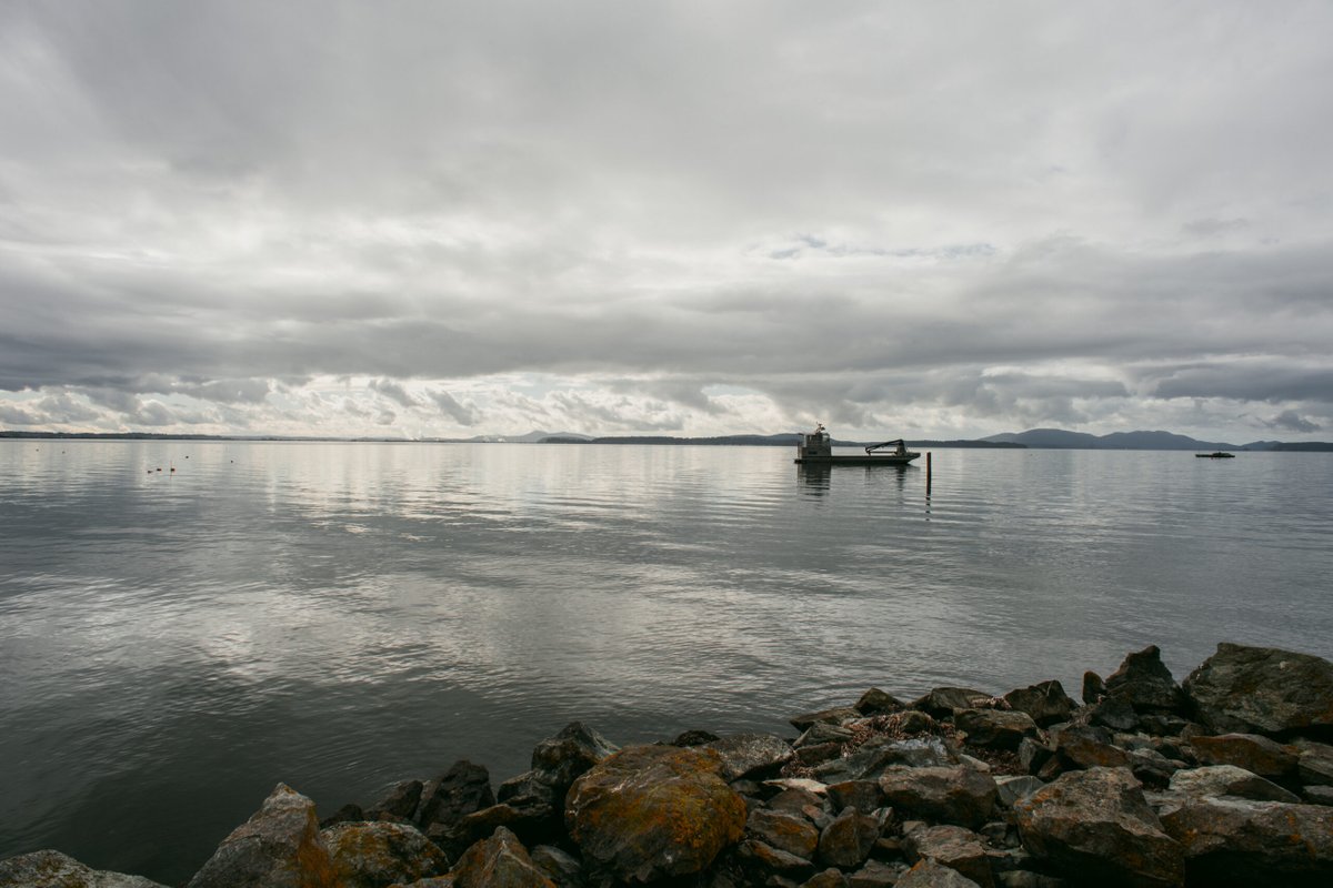 Puget Sound Partnership (@pspartnership) on Twitter photo The <a href="/PugetSoundInst/">The University of Washington Puget Sound Institute</a> 's free Salish Sea Science Roundtable online speaker series continues on Tuesday, July 8th, from 12.30-1.30 pm. The roundtable will discuss 'Assessing Effects of Multiple Climate Change Stressors on Marine Invertebrates.'
Register: bit.ly/4eS6Phb The <a href="/PugetSoundInst/">The University of Washington Puget Sound Institute</a> 's free Salish Sea Science Roundtable online speaker series continues on Tuesday, July 8th, from 12.30-1.30 pm. The roundtable will discuss 'Assessing Effects of Multiple Climate Change Stressors on Marine Invertebrates.'
Register: bit.ly/4eS6Phb