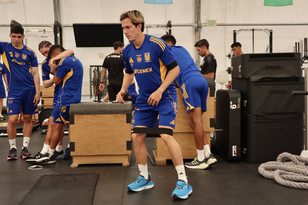 💪🏼 Fuerza, Tigres 🇺🇦