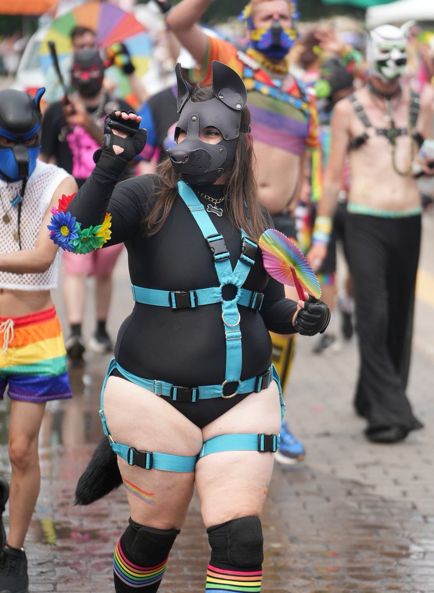 Happy Pride, pups! 🏳️‍🌈🏳️‍⚧️ I hope this month is full of magic, love, and strength. Pups together strong!