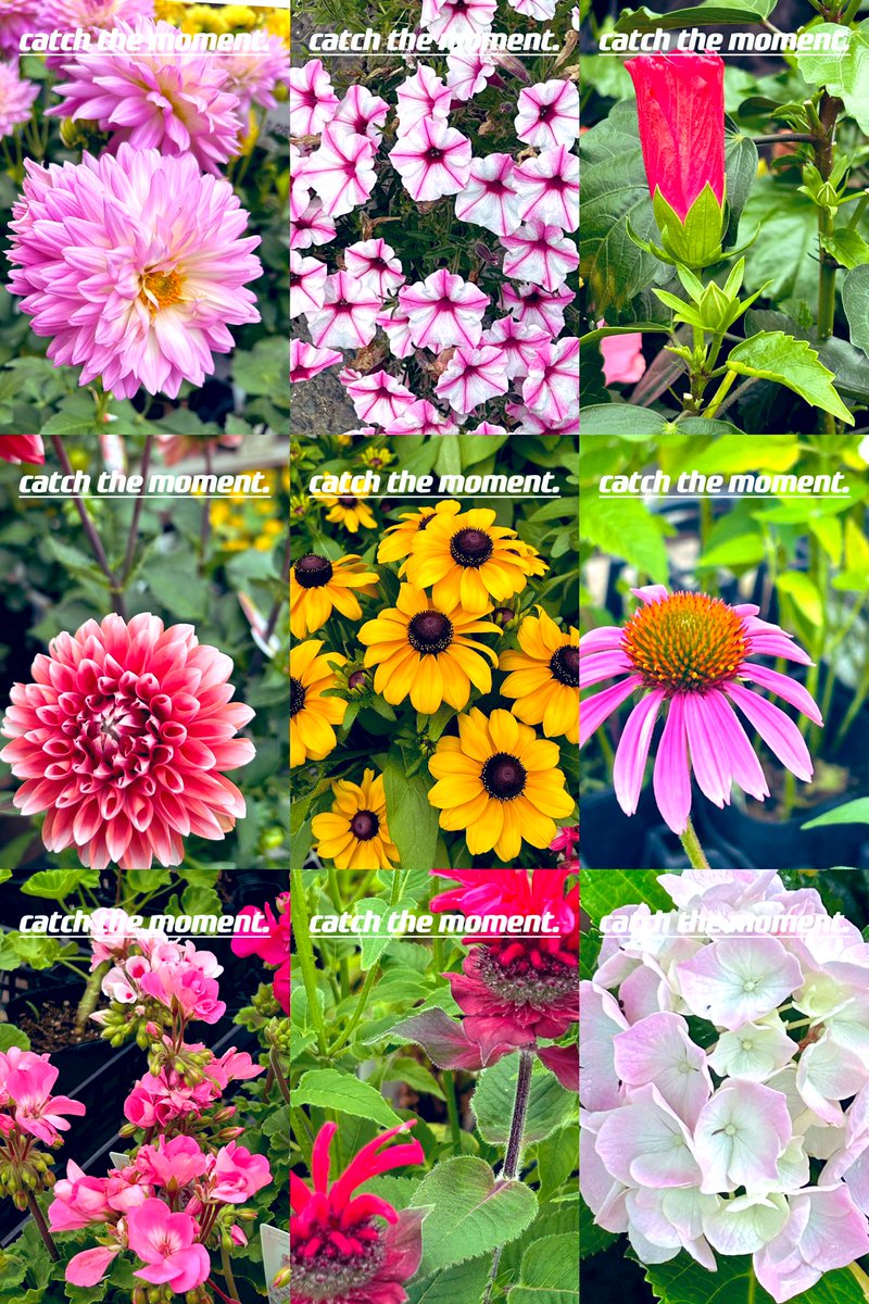 E3%81%88%E3%81%B3%E3%83%95%E3%83%A9%E3%82%A4%E3%81%AE%E6%97%A5