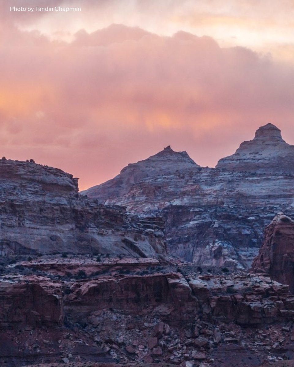 🚨 The One Big Beautiful Bill Act proposes to sell off 2–3M acres of USFS national forests and BLM lands within five years—and make over 250M acres of our public lands eligible for sale. 📢 Take action: Call your Senator and urge them to protect wild horses: (202) 224-3121 ☎️