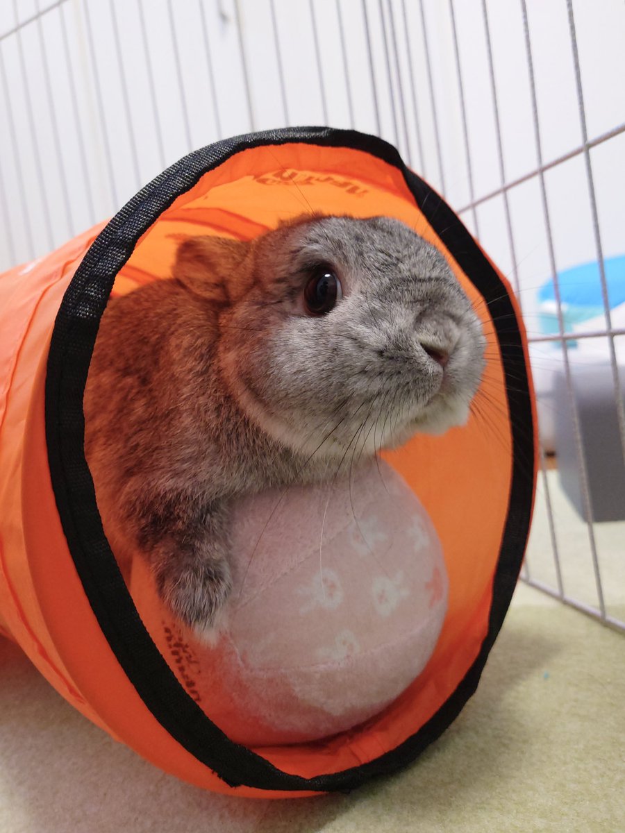 福岡を征服するぞ⚽️🔥🔥