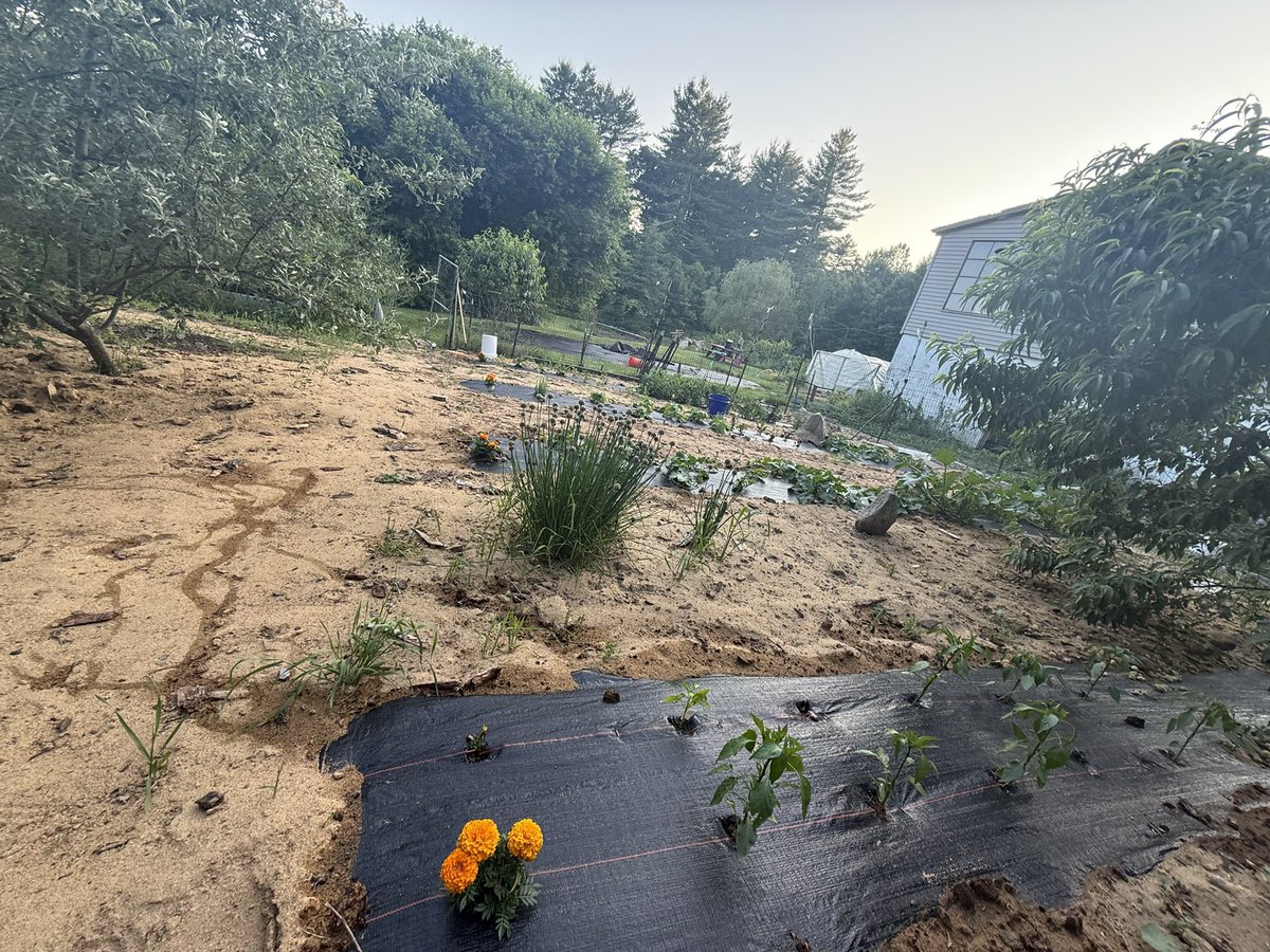 Luckily my daughter was watering the garden!