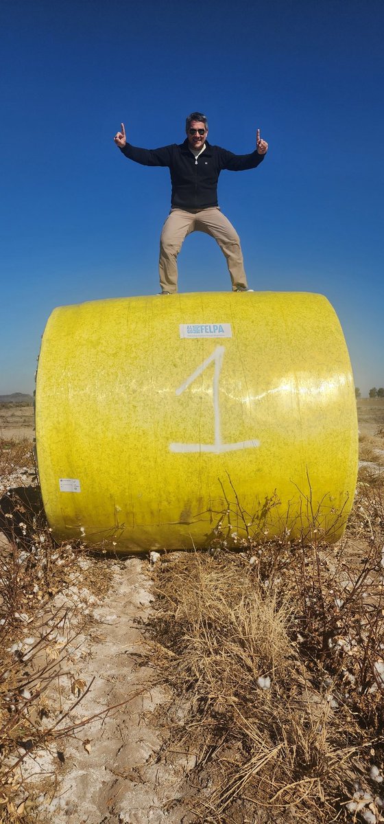 mariano_anibalg's tweet photo. Se cosecho en San Juan, Medano de Oro junto al Productor Guillermo Lopez y Flia.. El Primer lote de FELPA (Fibra de 33mm) Recordemos que Argentina hace como máximo 26,5mm. Este proyecto Publicó Privado llego a su estapa Final y podemos decir Argentina tiene Algodón Premiun https://t.co/Eym5M3YbXB