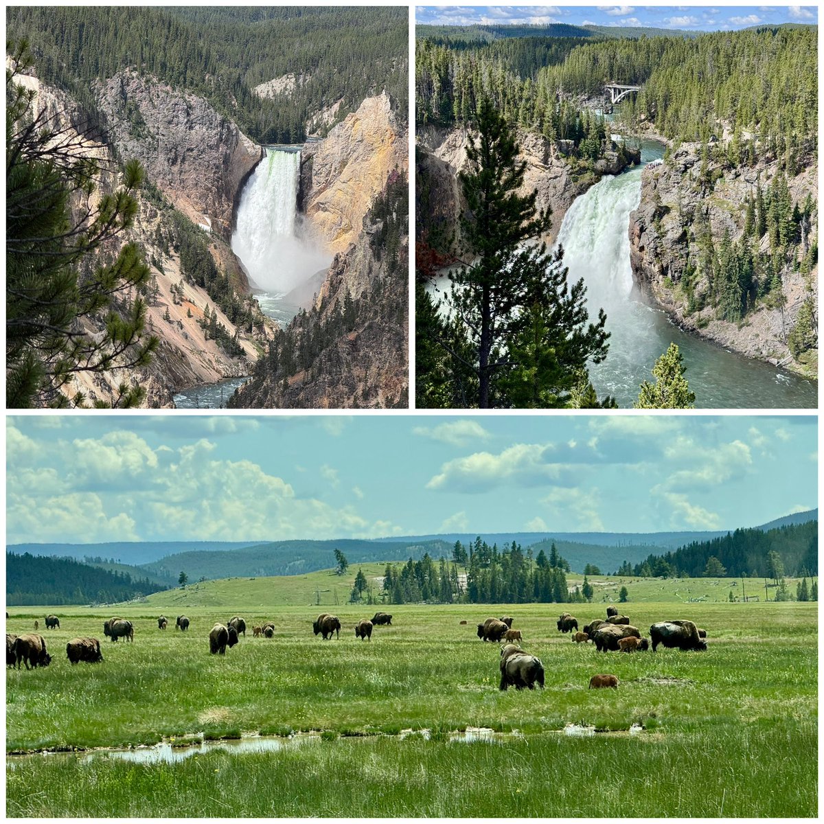 Been enjoying God’s handiwork out west this past week. Photos don’t do it justice. #Yellowstone #Badlands #MountRushmore