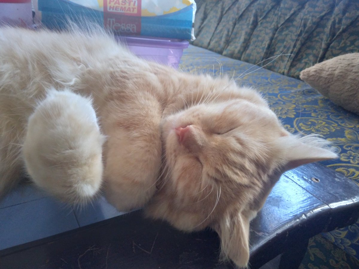 IKID ANAMKUL tweet media