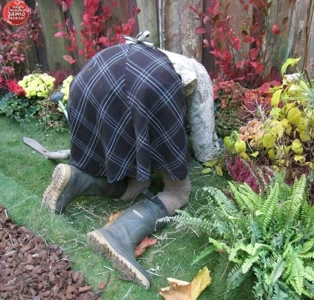 MSerguy61833's tweet image. Autrefois on appelait les #éventails les pureuils