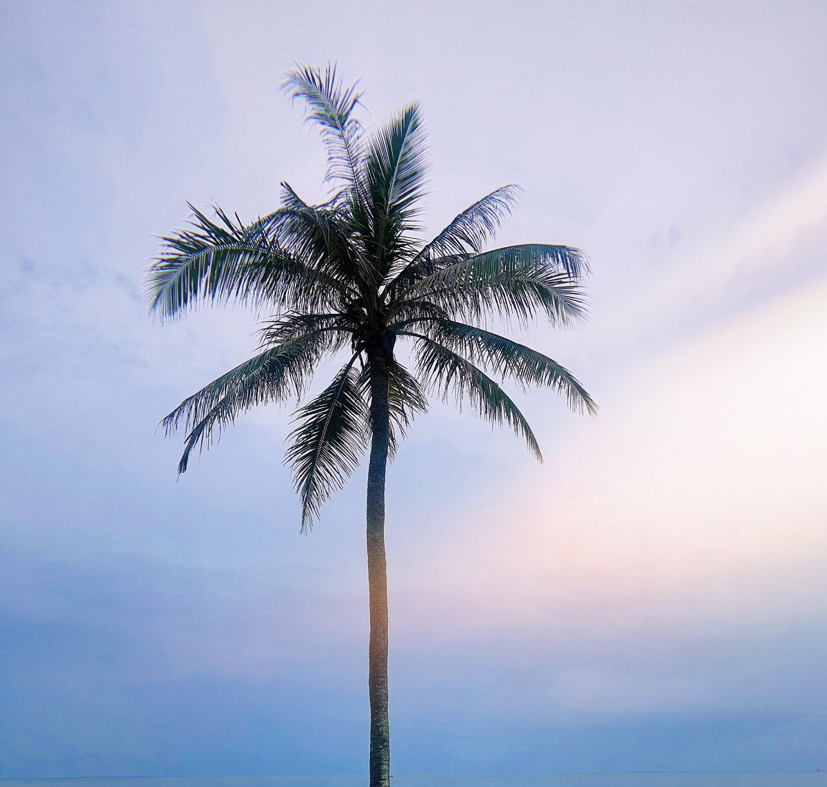 เวลาที่ดีที่สุด คือ เวลามีเงิน
#ทะเล #ปัตตานี #นราธิวาส