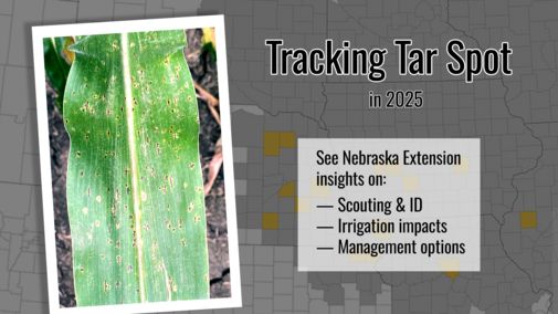 #Tarspot is already appearing in eastern #Nebraska #corn. While #fungicide treatment isn't yet recommended, recent #UNL research reveals how #irrigation intensifies this relatively new #cropdisease. Learn more » buff.ly/GVagVDV 

#NebExt #ag <a href="/UNLPlantClinic/">UNLPlant&Pest Clinic</a> <a href="/UNLExtension/">Nebraska Extension</a>