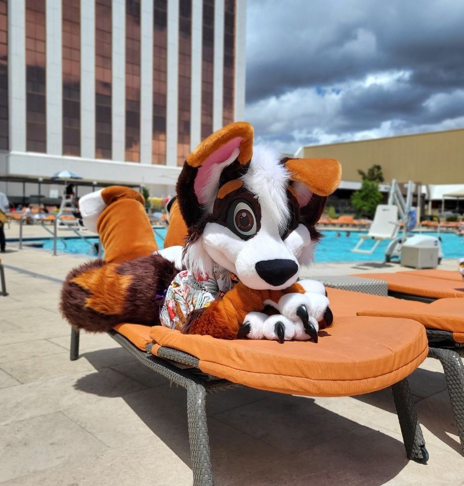 SparkToons's tweet image. It's the summer solstice! What are you doing on the longest day of the year? #FursuitFriday