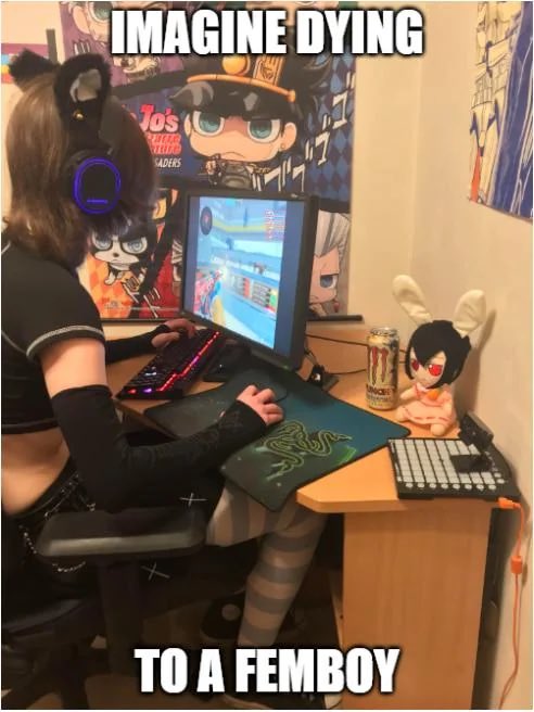 Not me but cool setup :3 OMG FUMO