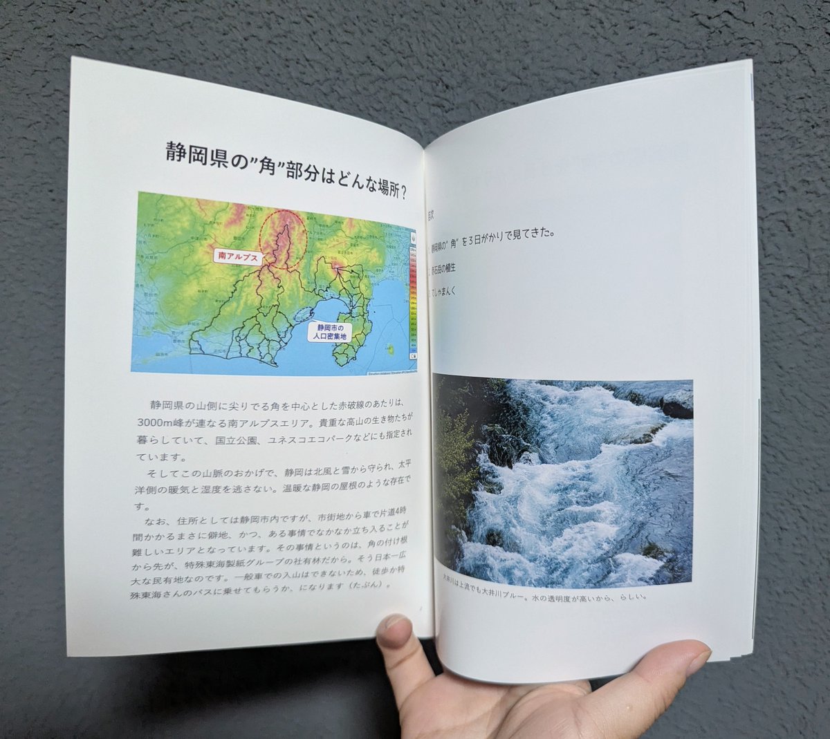 南アルプスご覧じてほしい〜😁🙏
#静岡文学マルシェ 今日の11-17時、七間町です！