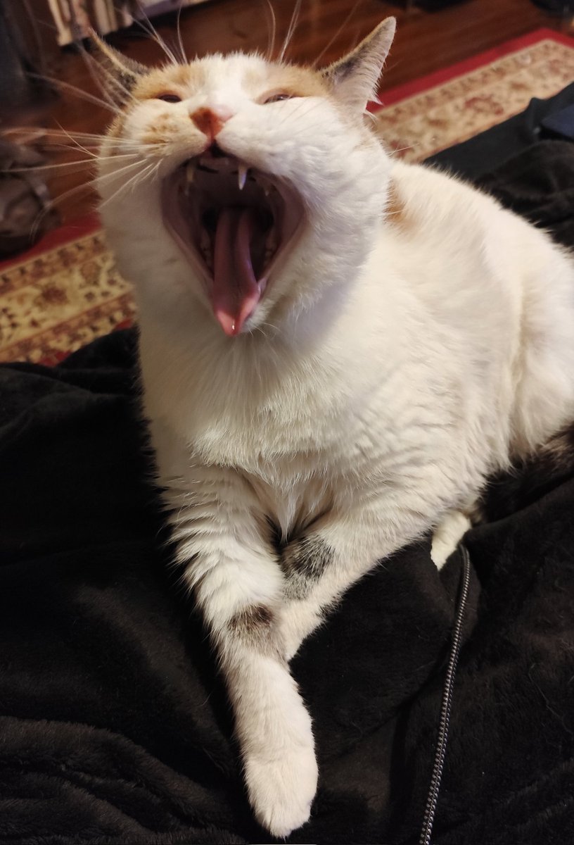 WOW BIG MEMAW YAWN