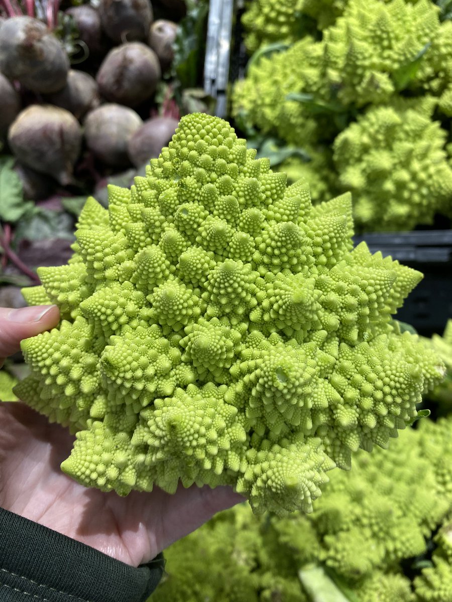 Desconocía la existencia de esta hermosa coliflor