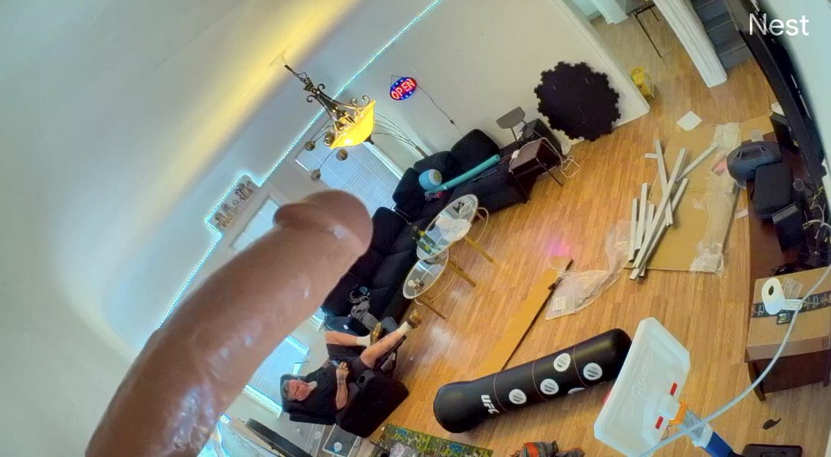 just checked the nest camera at the BASEDD House lol