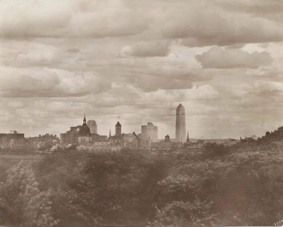 Best Of Minnesota tweet media