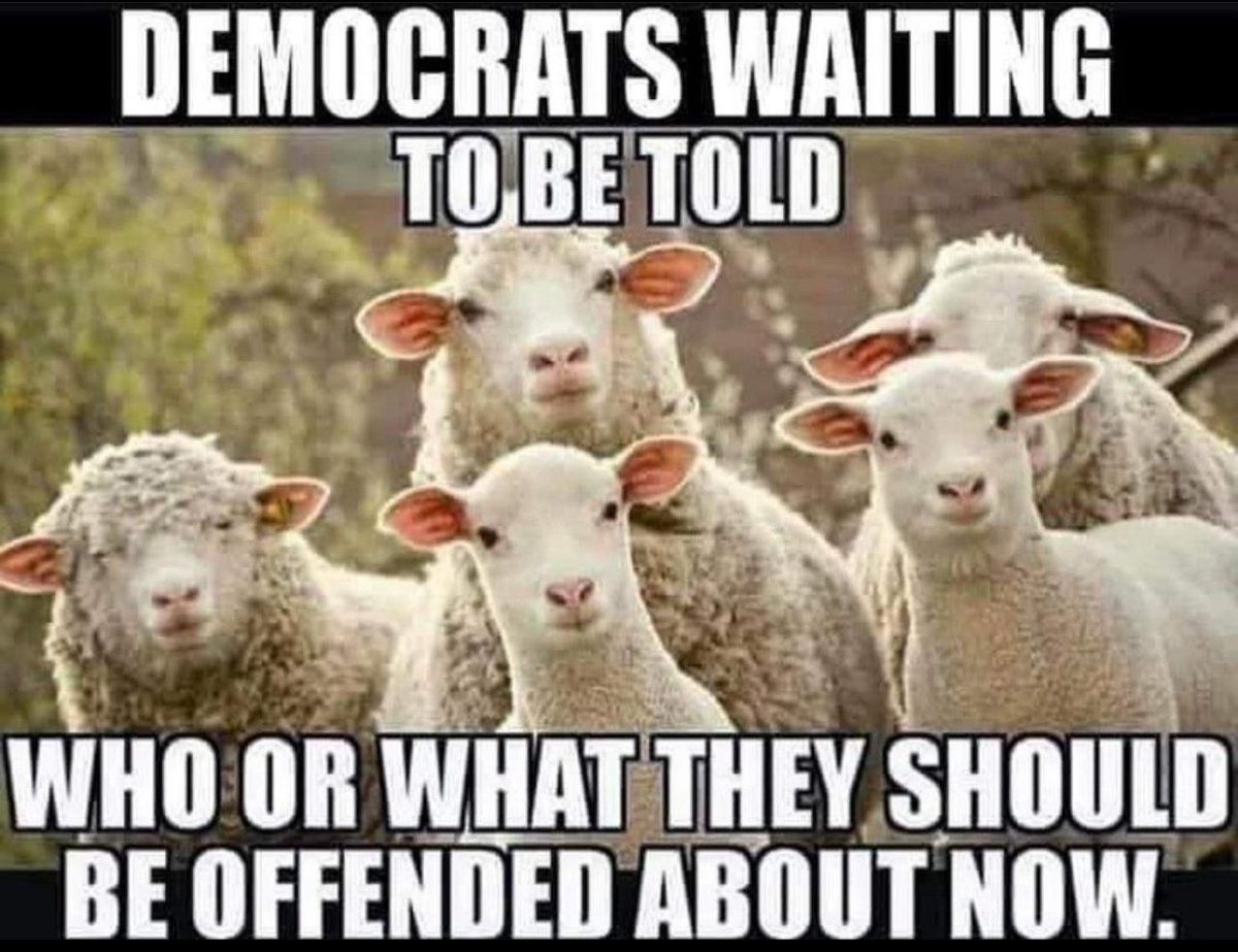 <a href="/EastEndJoe/">Joe G</a> I’m not sure Democrats understand how much fun it is to watch them whine about the very same things that they criticized us for