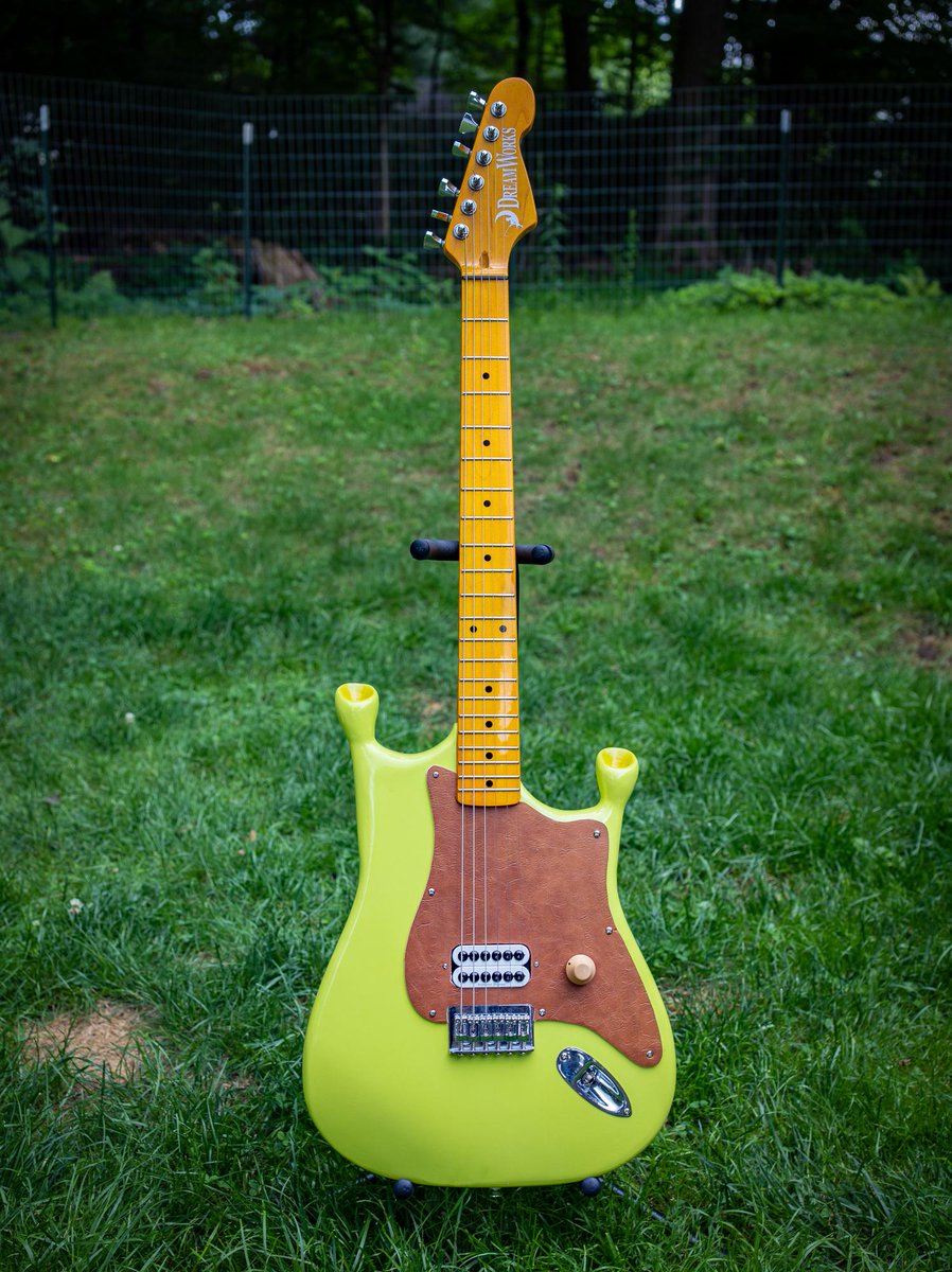 facetedcarapace's tweet photo. Inviting her over and just playing the Shrek guitar for 2 hours in front of her https://t.co/K8WgTk19au