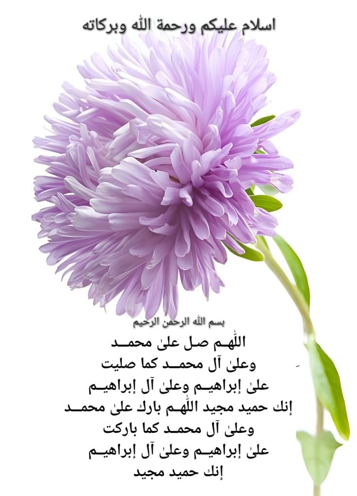 Maha Khan🌸 tweet media