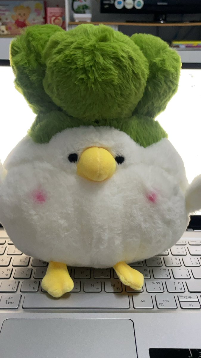 สาววายที่เป็นมัมหมีและเจ่เจ้ tweet media