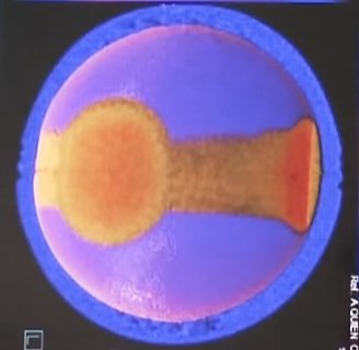 AvirupM42's tweet image. Uni of Mexico scientist shows Tomography  picture of nucleus inside the Buga Sphere in the Press conference organised by @jaimemaussan1 &amp;amp; attended by @RepEricBurlison
Says he found no energy source inside for it to levitate
#UAPX #UfoX #Bugasphere
Link to press conference in 🧵