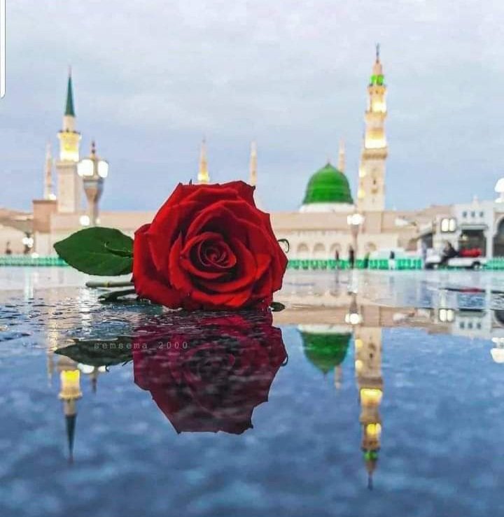 لاکھوں کروڑوں درود اُن پے جن کی بدولت 
رحمٰن ملا، قرآن ملا، ایمان ملا، رمضان ملا 

اٙللـَّهـُمَّ صـَلِِِّ وَسّـلٙـِّمْ وَبـَارِكْ  عـٙلـىِِ مُحـٙٙمّـدِِؐ﴿ﷺ﴾

❤️🕌