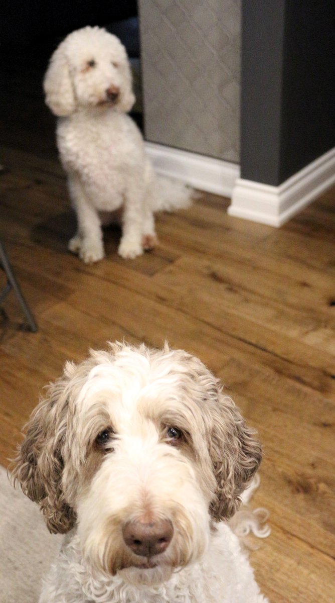 Macie: I really wish I would have listened to mom... she's mad
Nessa: Why, what did she say?
Macie: I don't know, I didn't listen🤷‍♀️