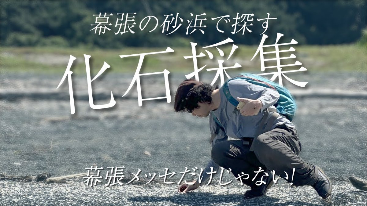 こんにちは！今日は19時に化石採集新作動画公開予定です！よかったらご視聴くださいませー！詳細はプロフから。
#化石乙史 #化石採集 #化石発掘 #化石