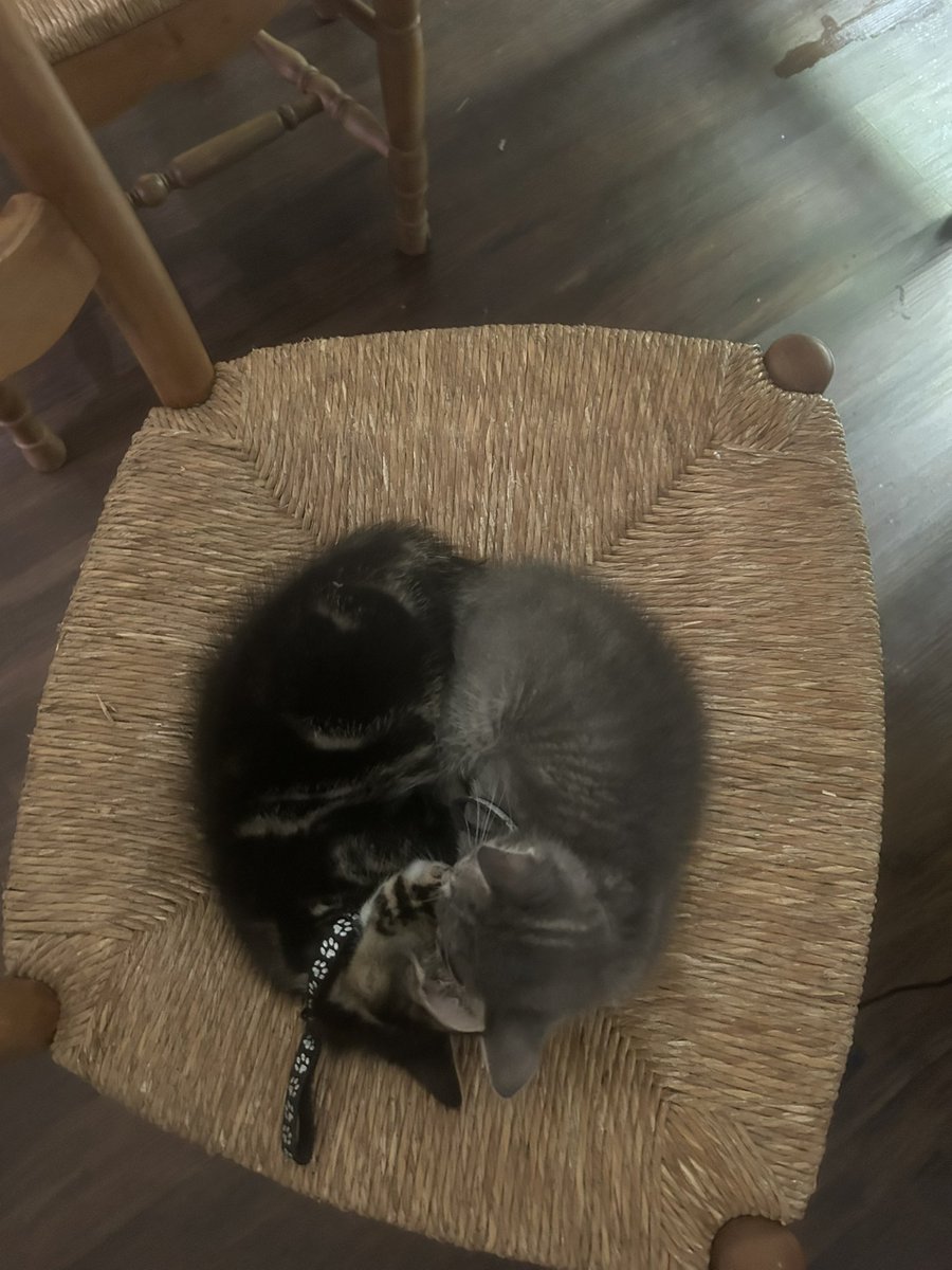 iris (@xlyoem) on Twitter photo 