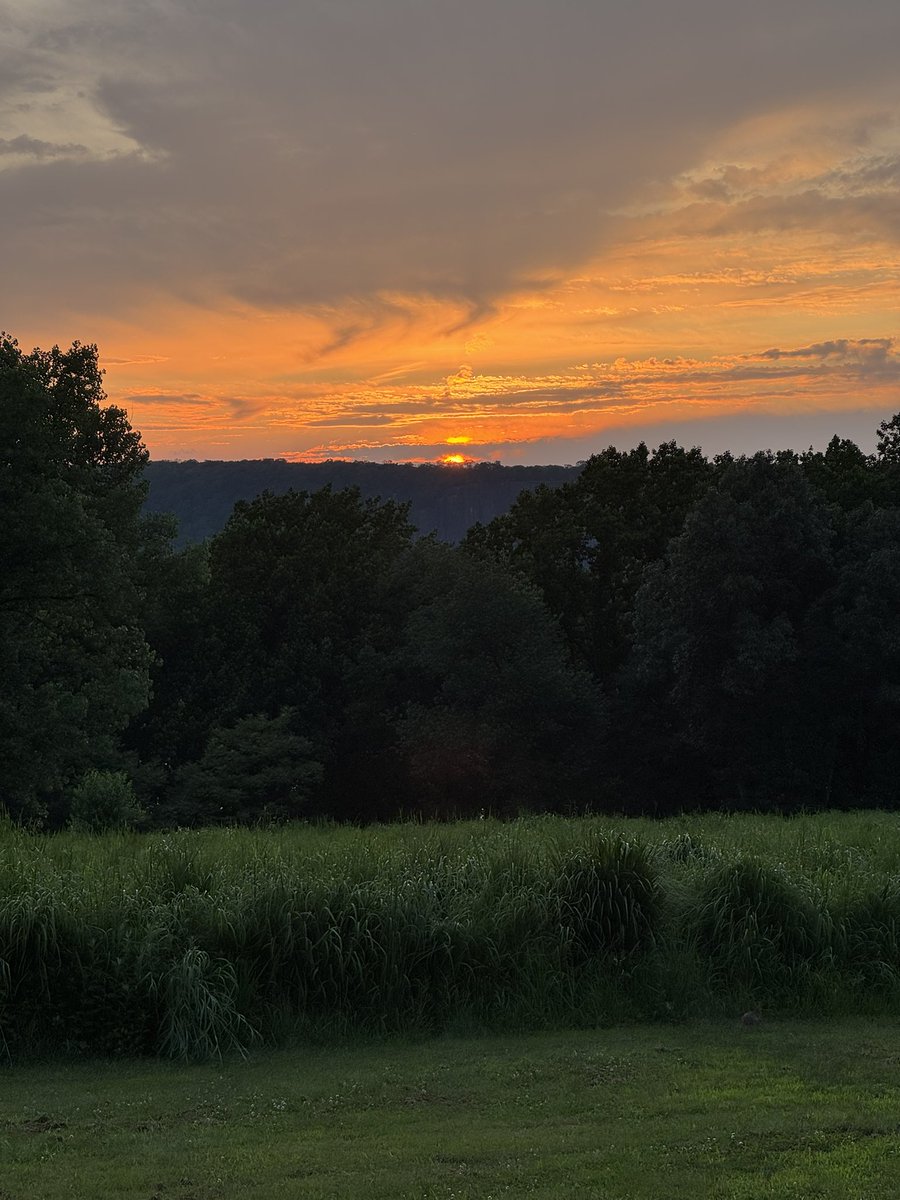 Lenoir Preserve at sunset. I love this place.