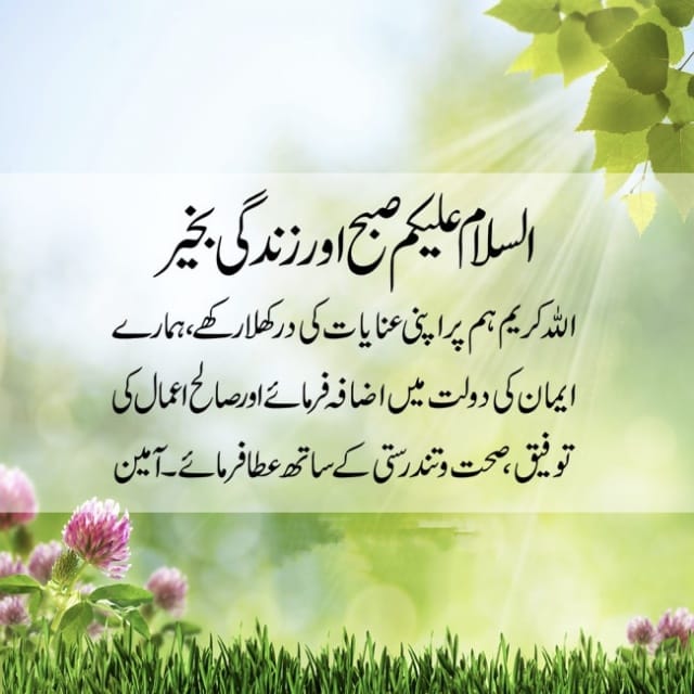 السلام علیکم!
 صبح بخیر