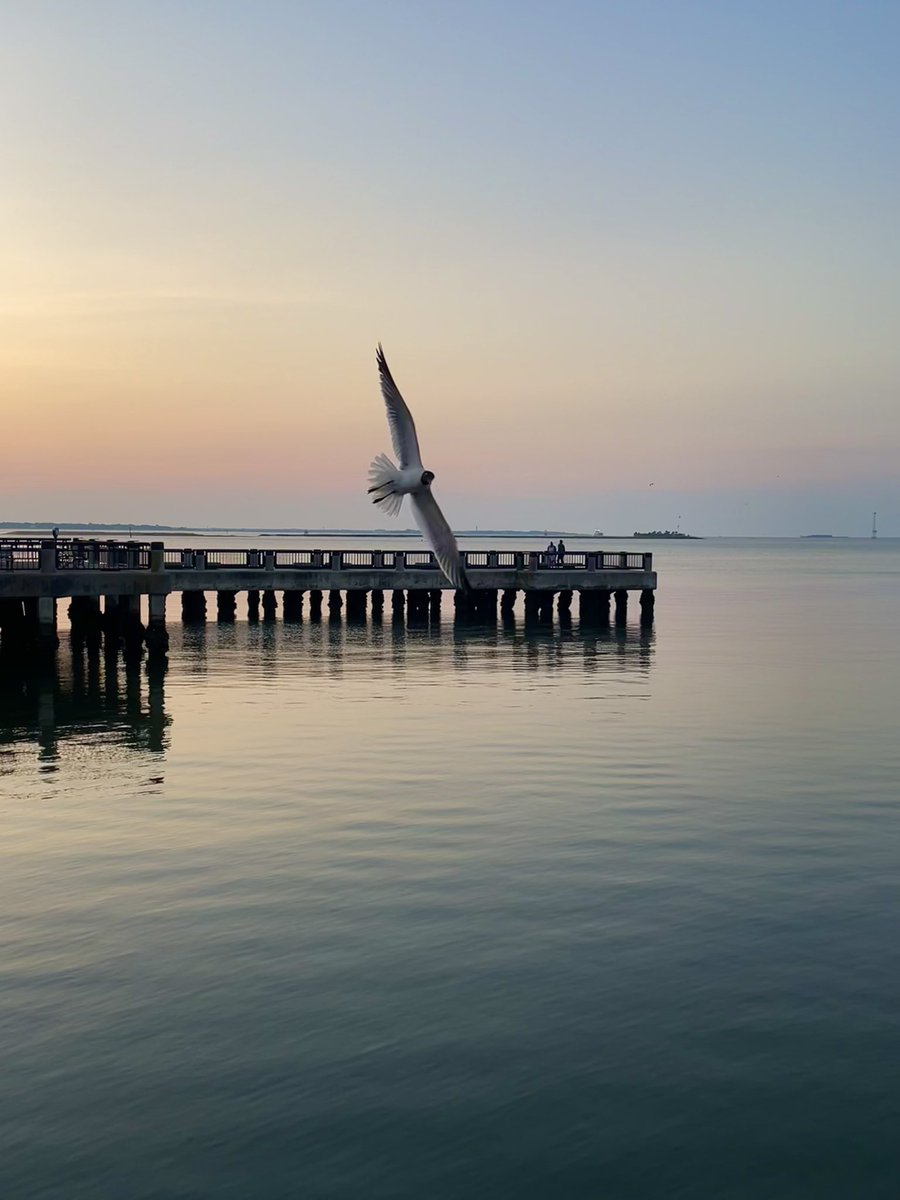 In flight over the Charleston Harbor