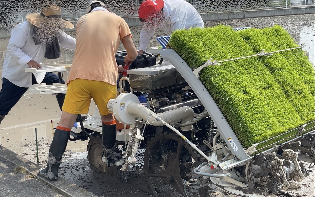 中2のいとこは田植機を使いこなします🌾