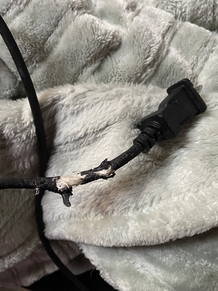 First casualty of puppy.  Vacuum cleaner.