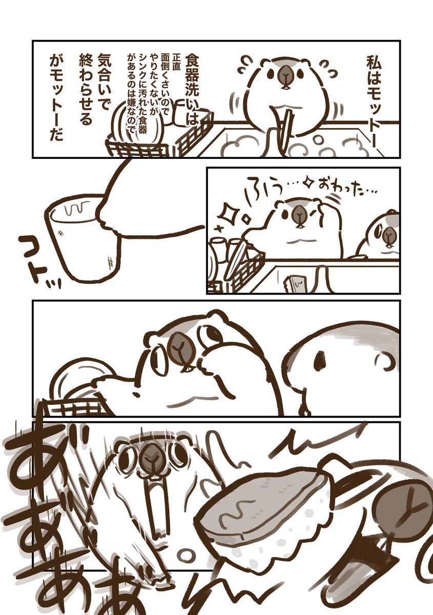 marmottooooo's tweet image. その38🧽✨🍽️🫗