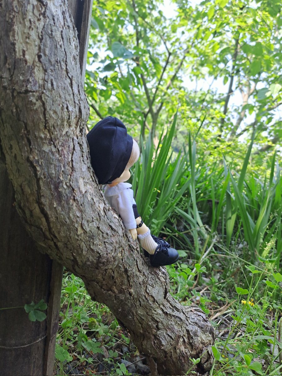 쉼터 🌳☘️🍀

#블랜키