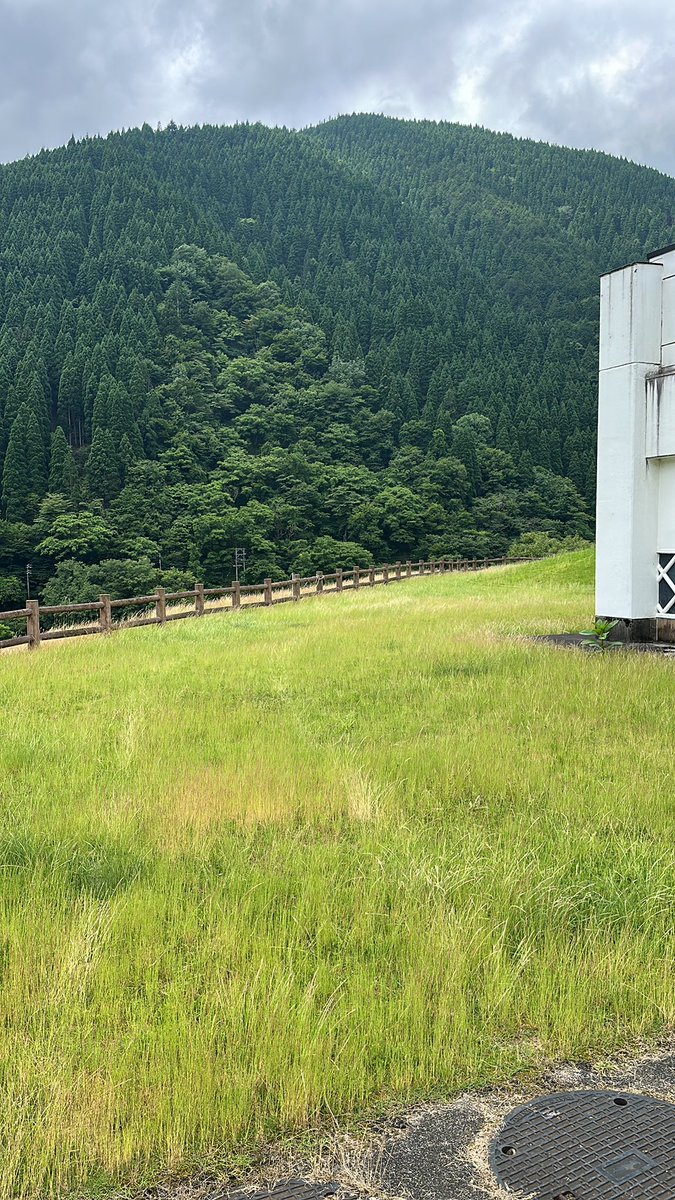 nishimino_plane's tweet image. おはようございます。
施設周辺を巡回していたら、天文台の周囲にタイヤ痕がありました。
タイヤ幅からして軽自動車のようです。
ここは関係車両以外侵入禁止で、入り口にバリケードも立ててあります。
勝手に入らないでください。