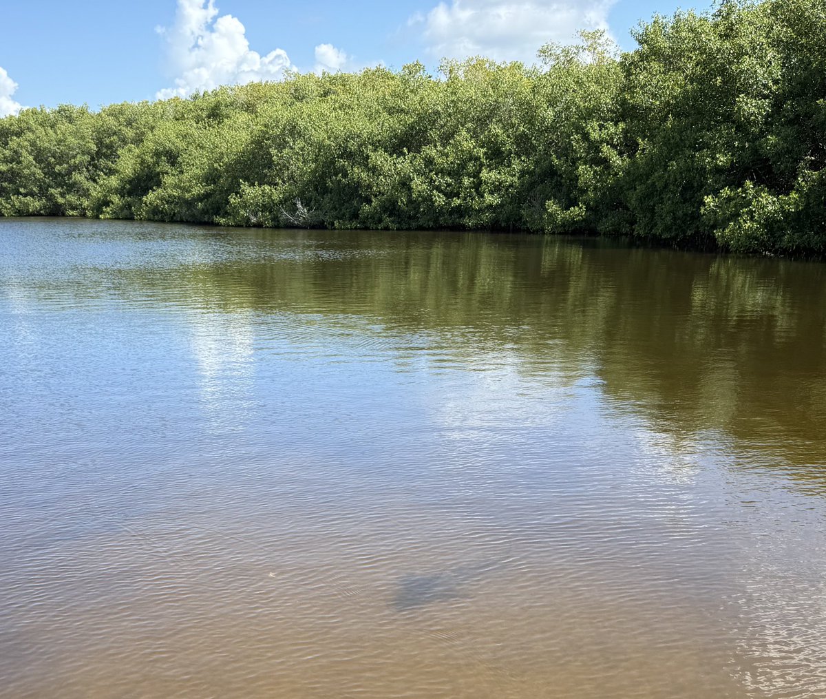 Kevin Blast tweet media