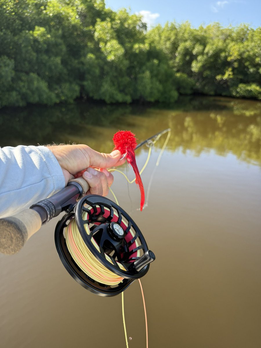 Kevin Blast tweet media