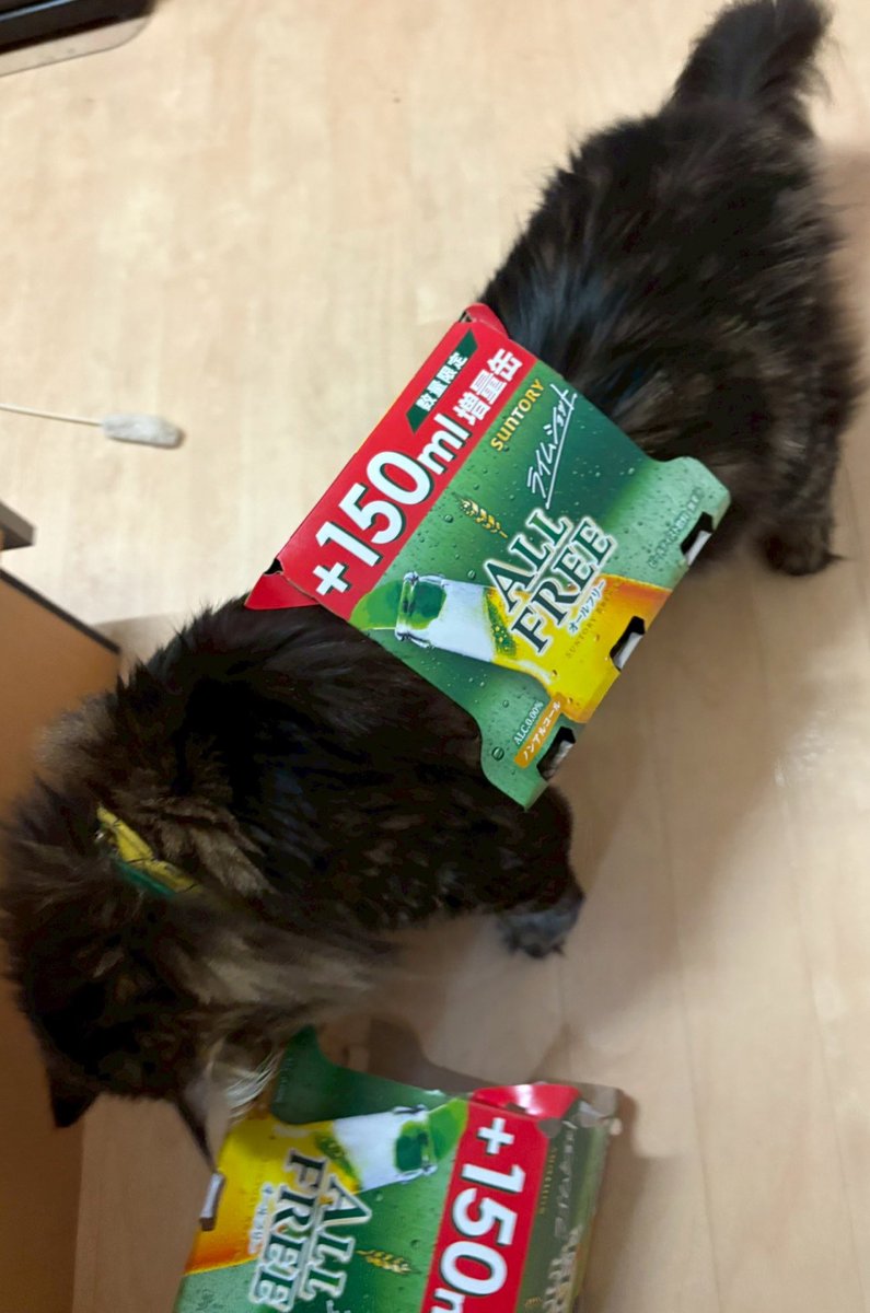 ymtm28's tweet image. おい