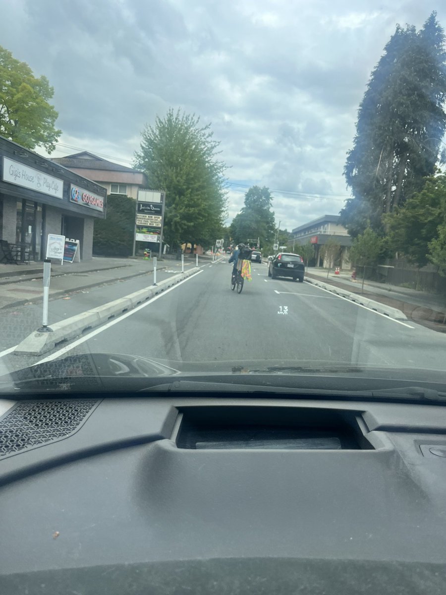 Lefty things happening in my town.. 

Spent $100k, removed all the beautiful dogwood trees to put in a bike lane just so people could bike down the middle of the road 🤪