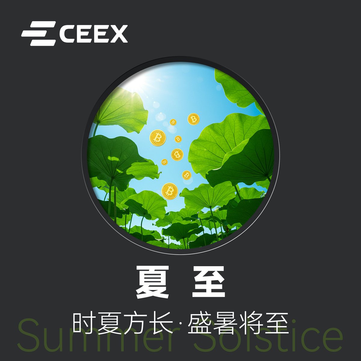 ceexzh's tweet photo. 🌞 夏至已至，光照最长的一天

交易不停，热度不减

在 CEEX，把握每一刻的增长能量 ⚡️

#CEEX  #Web3 #CryptoTrading https://t.co/Hd1CQvU5Pu
