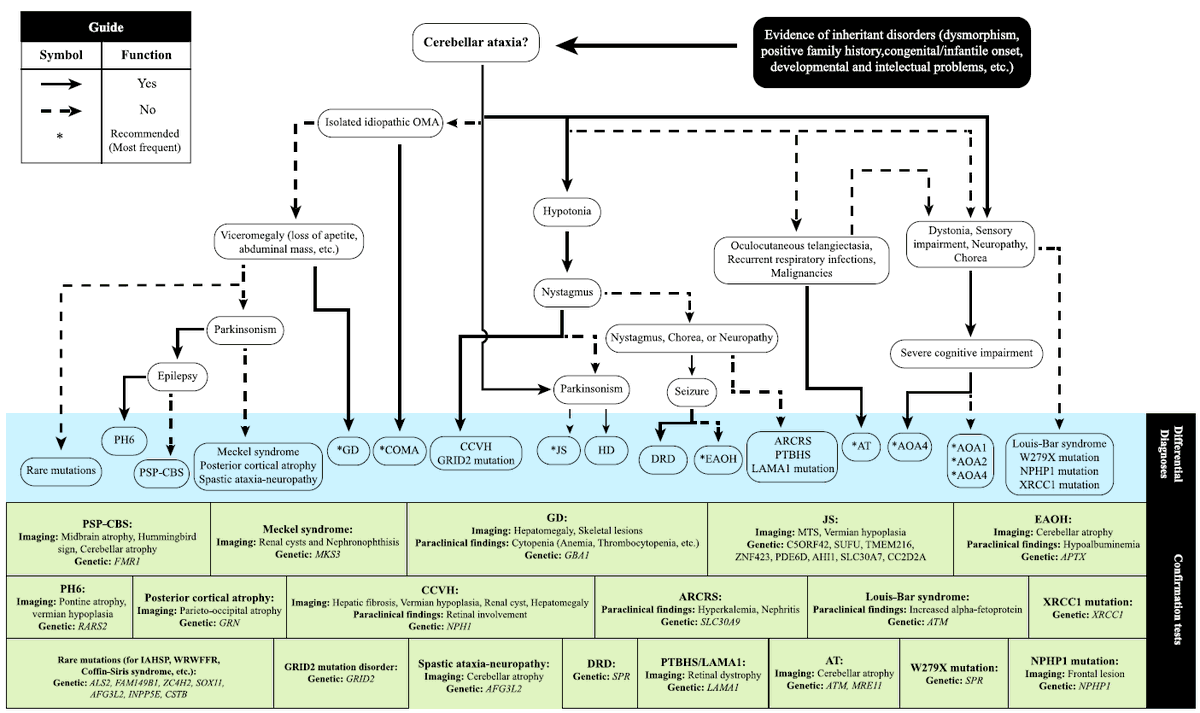JackyGanguly's tweet photo. Approach to Oculomotor Apraxia: A Syndromic Approach to Genetic Causes @Mehri_Salari #neurotwitter
https://t.co/3kq8Q30kyV https://t.co/H7OGXY25lJ