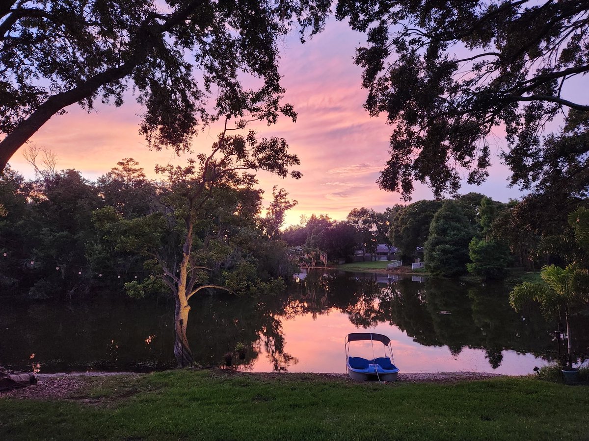 I just wanna stay in that Lavender Haze…my backyard sunset tonight.
