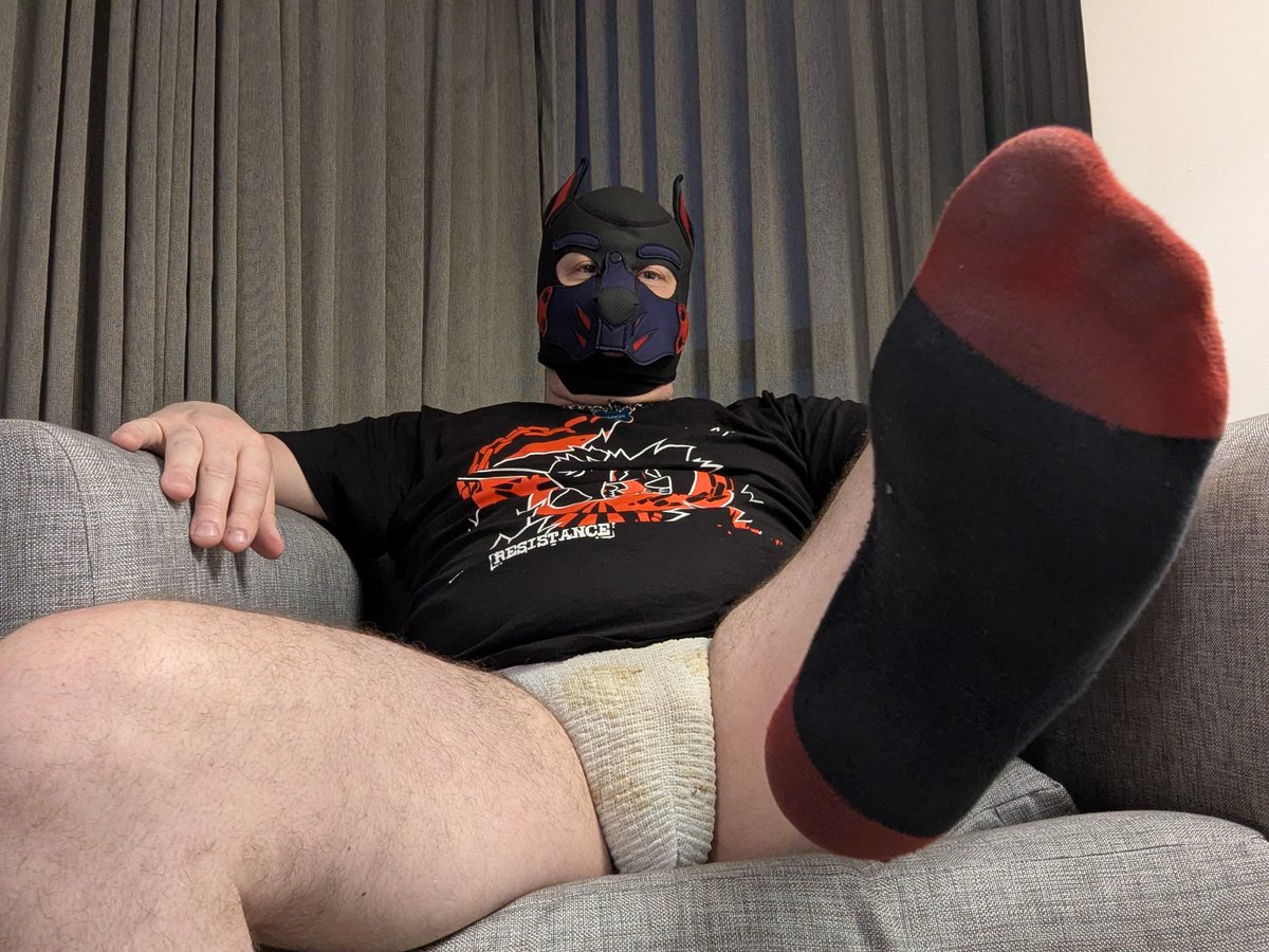 Bouncer.dog on bsky 🔜 COG A/B tweet media