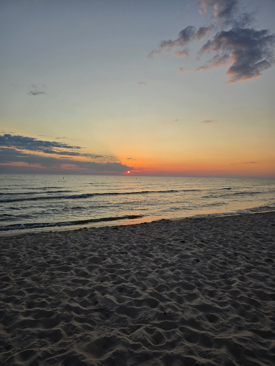 LoveLudington tweet media