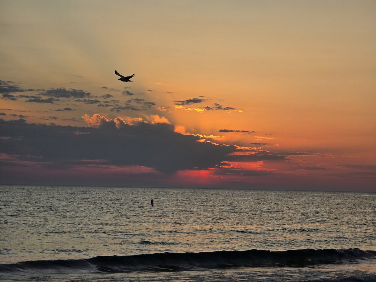 LoveLudington tweet media